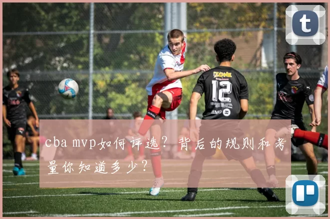 cba mvp如何评选？背后的规则和考量你知道多少？